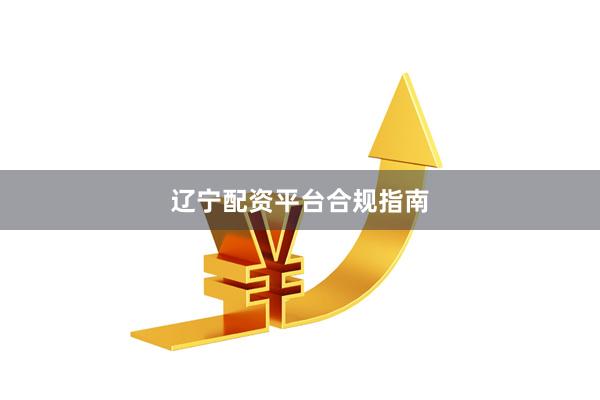 辽宁配资平台合规指南