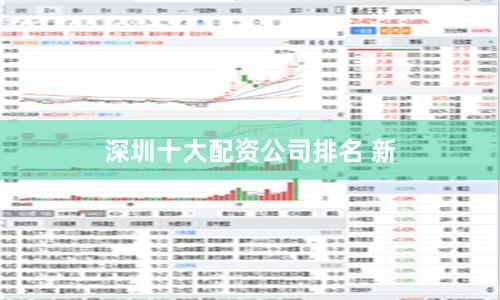 深圳十大配资公司排名 新